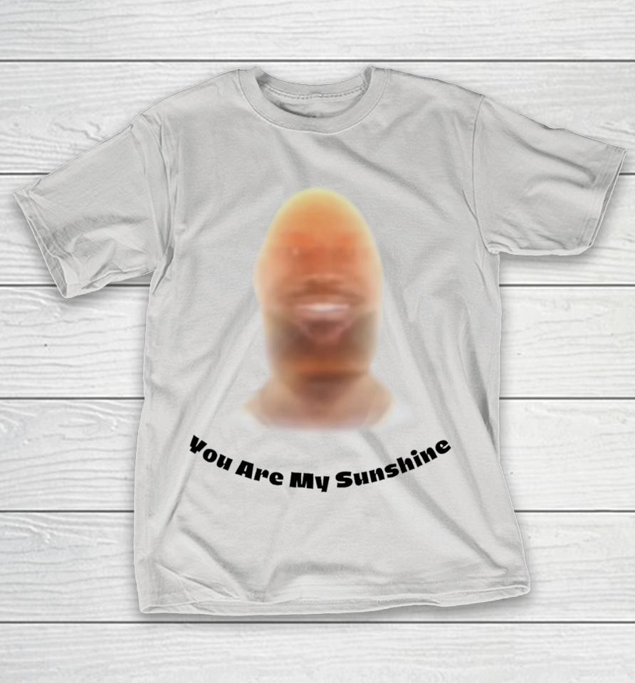 Unethicalthreads Store Lebron Jame You Are My Sunshine Shirts | WoopyTee