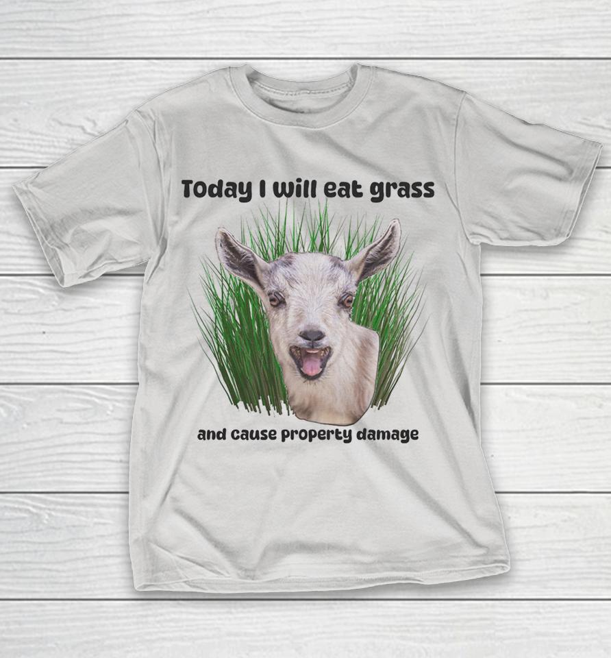Today I Will Eat Grass And Cause Property Damage Crazy Goat Shirts